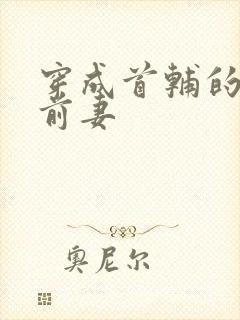 穿成首辅的炮灰前妻