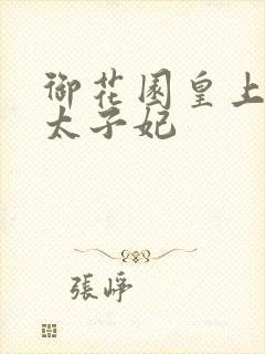 御花园皇上撞着太子妃