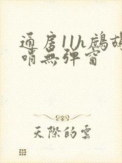 通房11h鹧鸪哨无弹窗