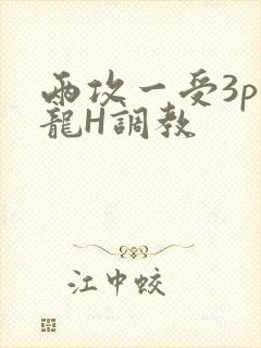 两攻一受3p双龙H调教