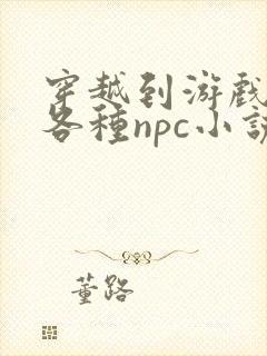 穿越到游戏里和各种npc小说封面