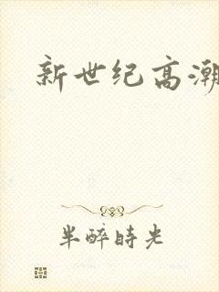 新世纪高潮战队