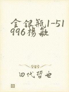 金银瓶1-51996杨敏封面