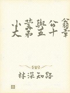 小莹与公翁熄粗大第五十章封面