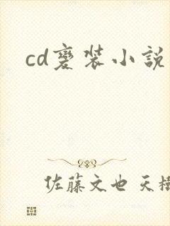 cd变装小说