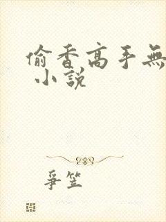 偷香高手无删减 小说