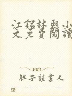 江铭林熙小说全文免费阅读