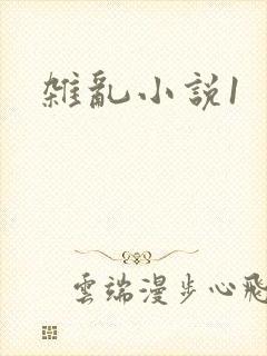 杂乱小说1