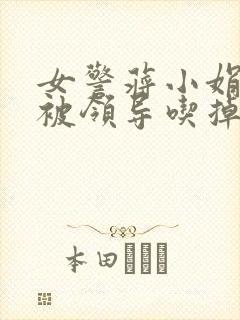 女警蒋小娟的奶被领导吃掉了封面