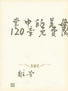 掌中的美母版主120章免费阅读
