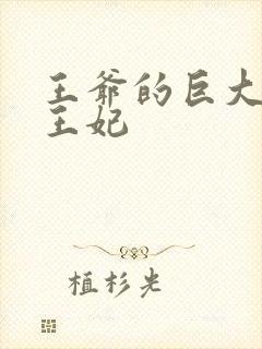 王爷的巨大进入王妃