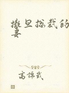 撒旦总裁的下堂妻