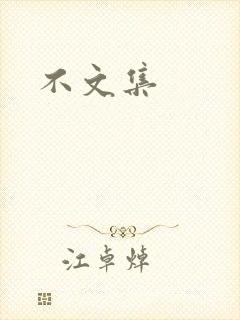 不文集封面