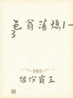 色翁荡熄1—13封面