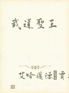 武道圣王封面