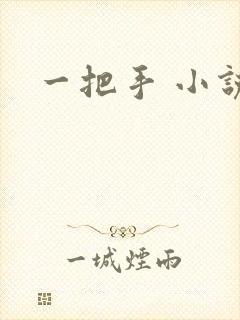 一把手 小说