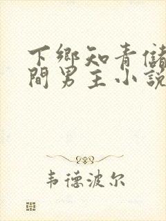 下乡知青储物空间男主小说