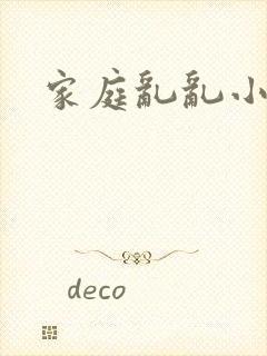 家庭乱乱小说封面