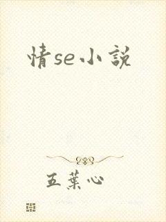 情se小说