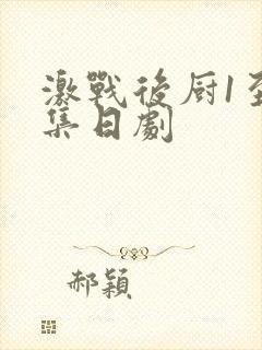 激战后厨1至5集日剧