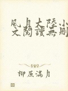 风月大陆小说全文阅读无删减封面