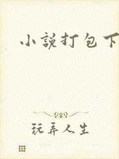 小说打包下载