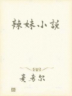 辣妹小说
