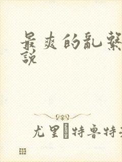 最爽的乱系列小说