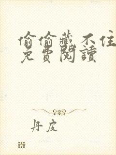 偷偷藏不住小说免费阅读