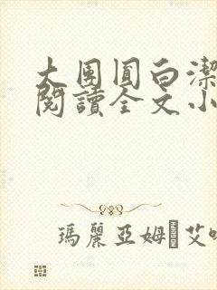 大团圆白洁免费阅读全文小说