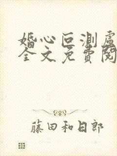 婚心叵测卢丹妮全文免费阅读小说封面