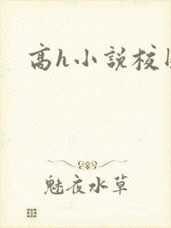 高h小说校园