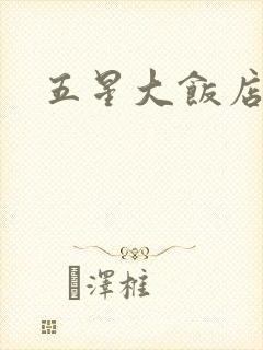 五星大饭店小说