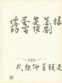 坏蛋是怎样炼成的电视剧