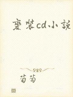变装cd小说