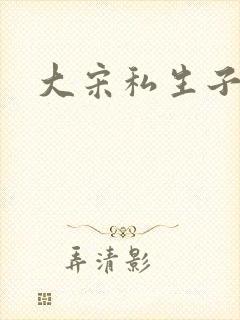 大宋私生子