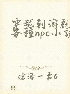 穿越到游戏里和各种npc小说