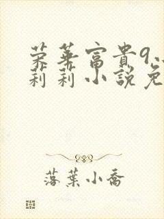 荣华富贵9小王莉莉小说免费阅读封面