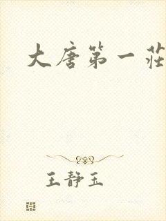 大唐第一庄