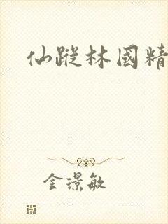 仙踪林国精产品封面