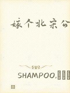 嫁个北宋公务员封面