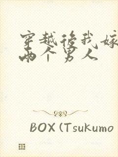 穿越后我嫁给了两个男人封面