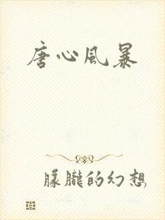 唐心风暴
