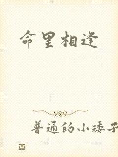 命里相逢封面