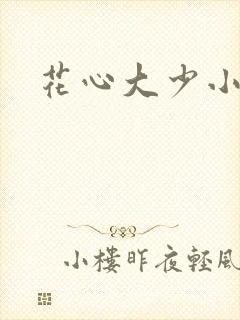 花心大少小说