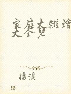 家庭大杂烩小说大全儿