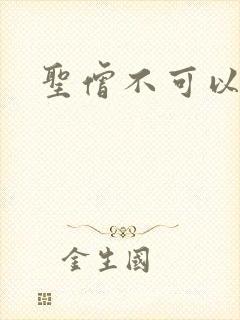 圣僧不可以