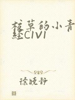 校草的小青梅不经C1V1