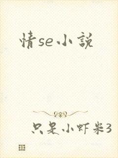 情se小说