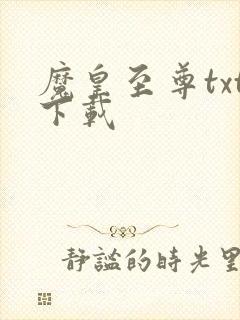 魔皇至尊txt下载封面